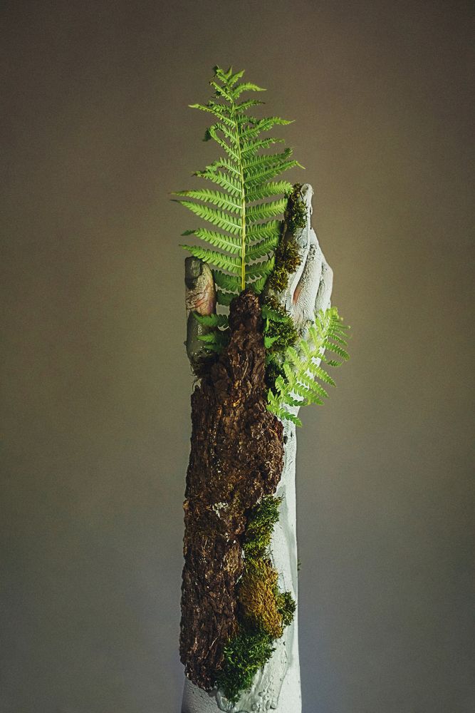 Photograph by Лебедева Ольга