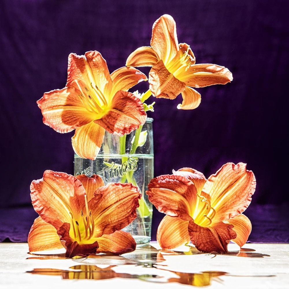 Photograph by Кравченко Юлия