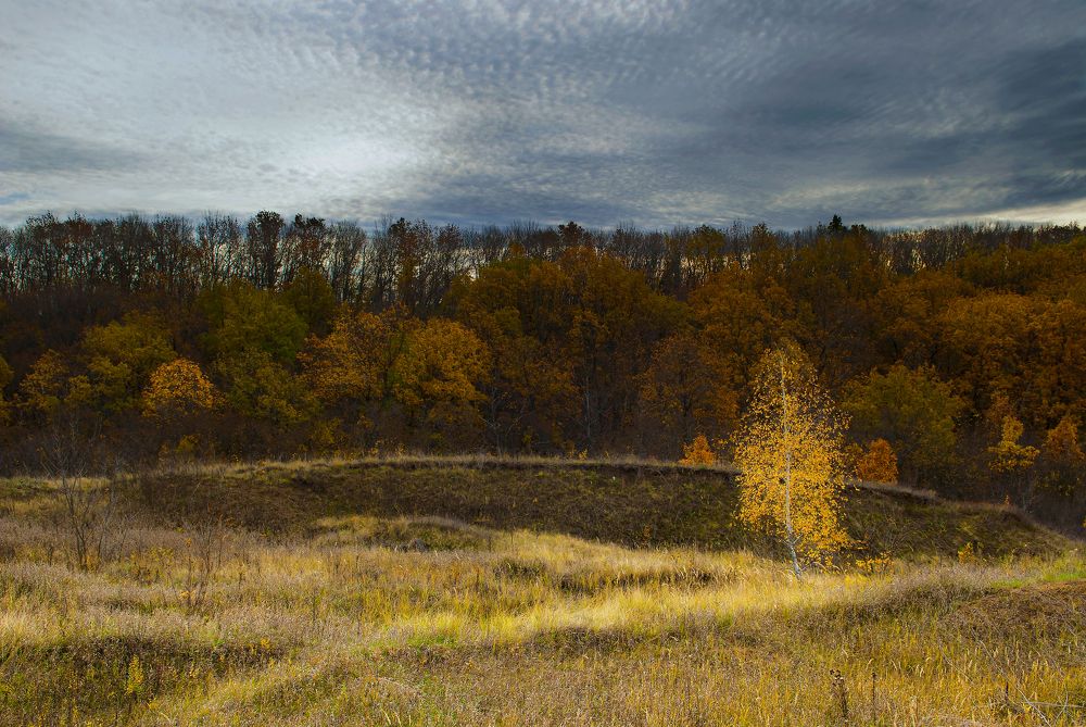 Photograph by Дмитрий Руденко