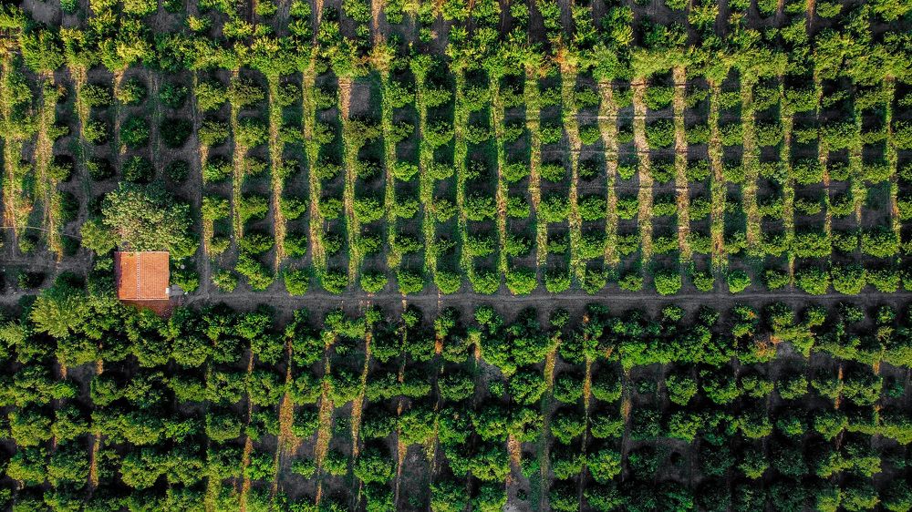 Photograph by Алексей Мацак