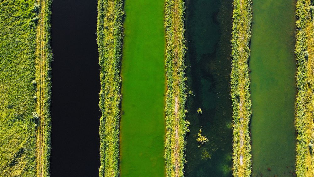 Photograph by Алексей Мацак