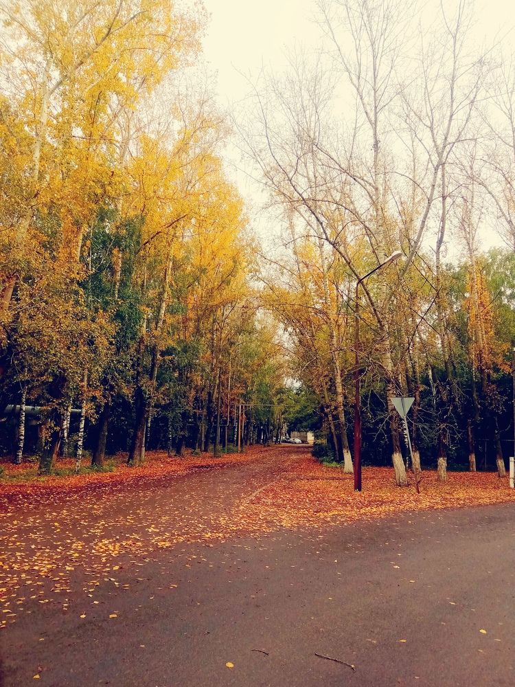 Photograph by Мария Опритова