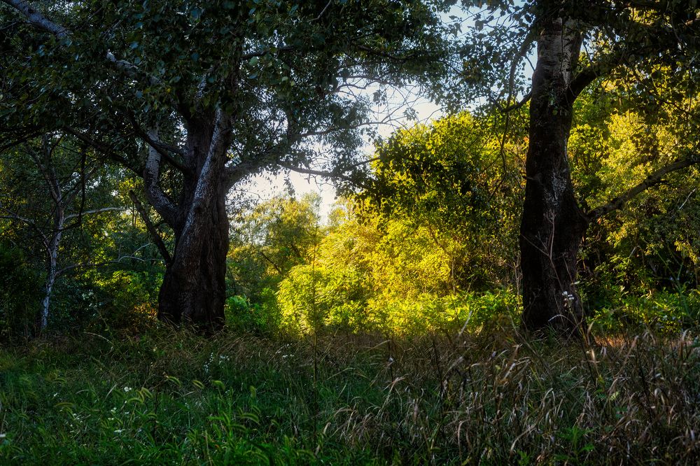 Photograph by Владимир Кваша