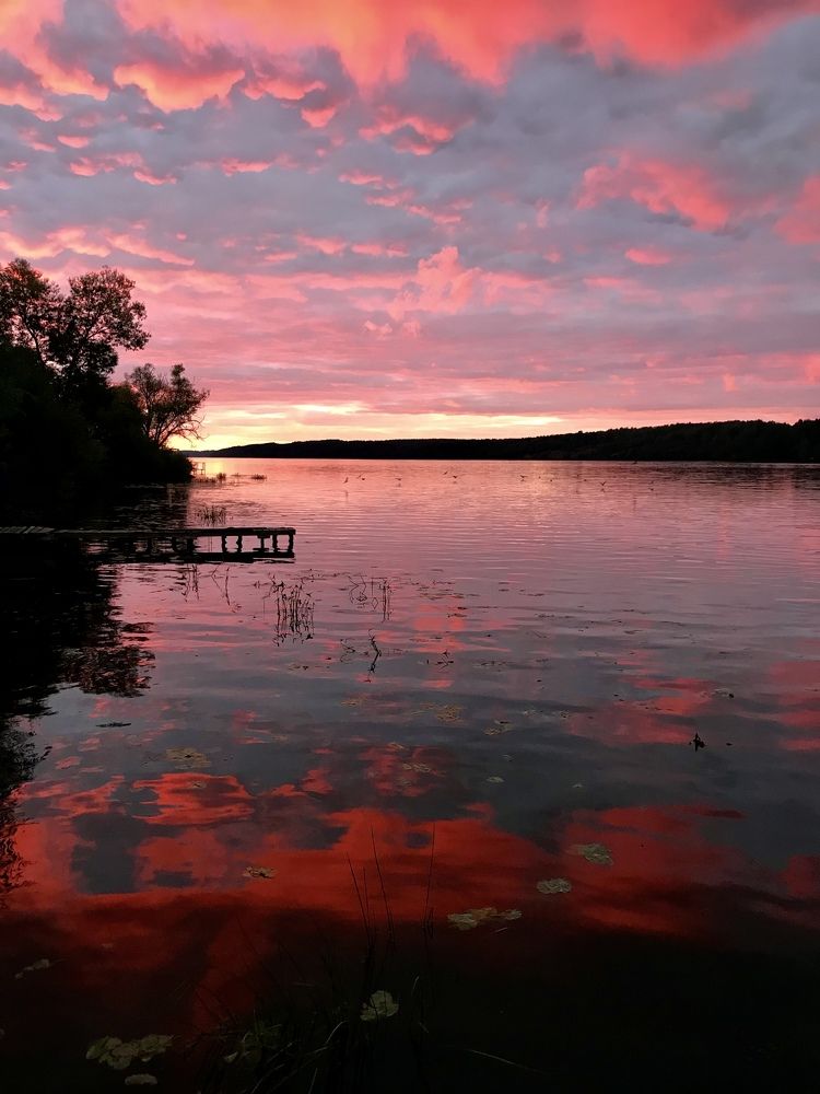 Фотография автора Gulnara