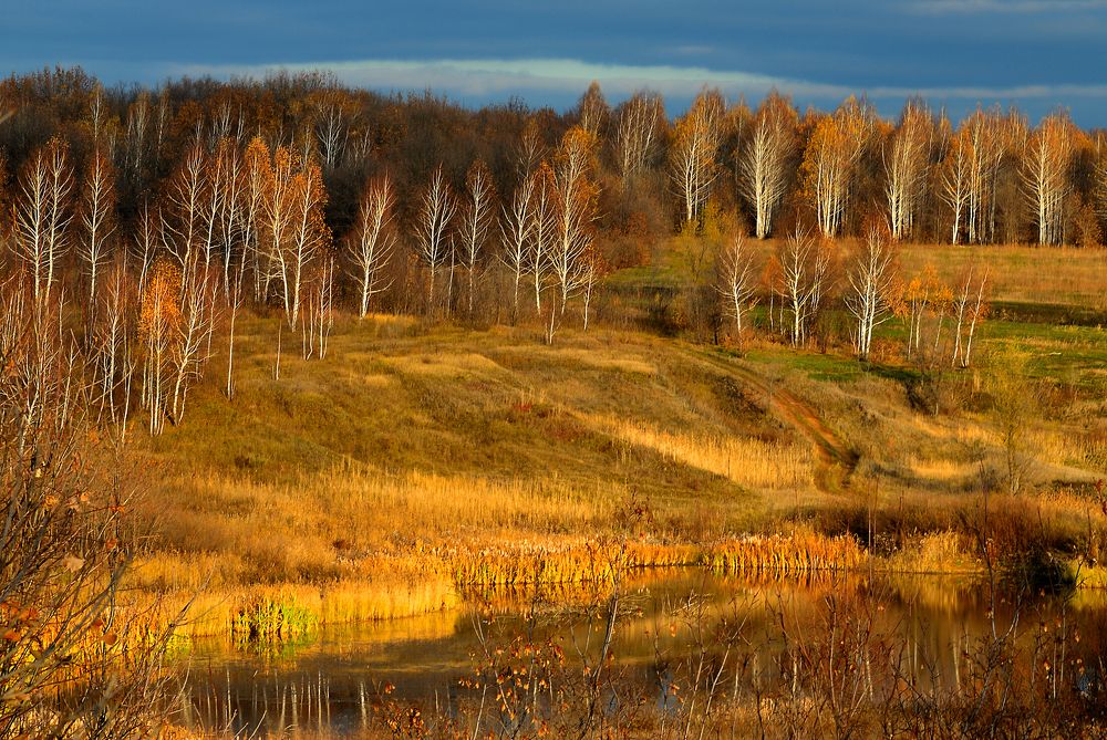 Photograph by Дмитрий Руденко