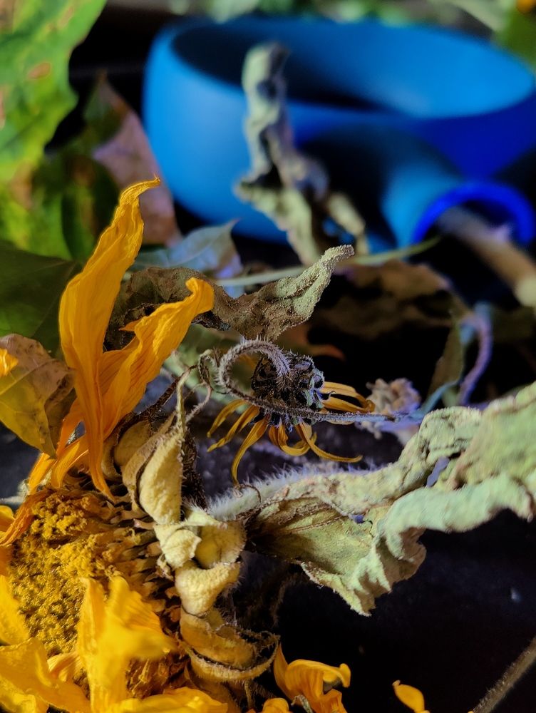 Photograph by Татьяна Гулакова