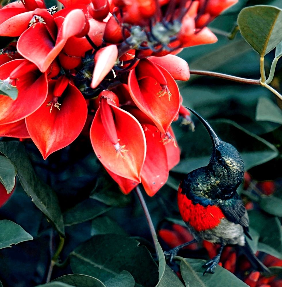 Photograph by Andrew Becker