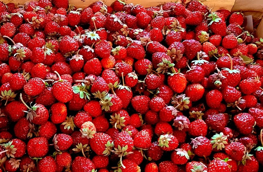 Вкуснятина!!!
