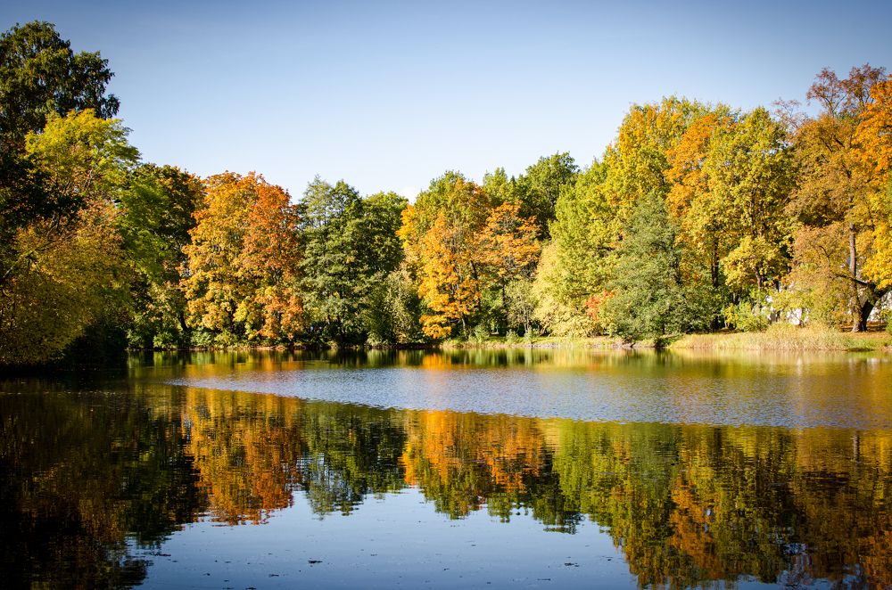 Photograph by Ксения Денисова