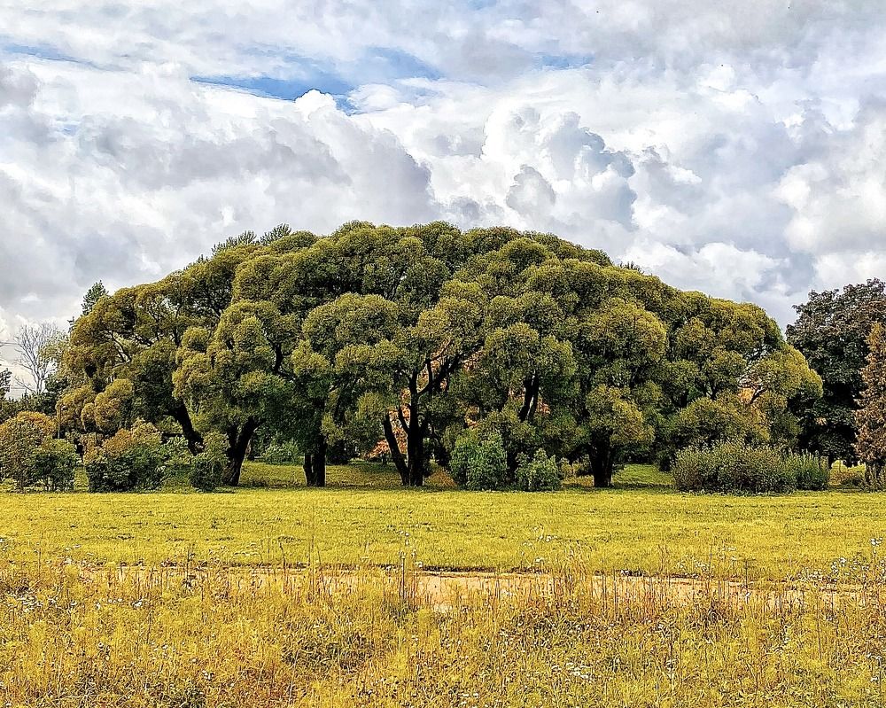 Photograph by Марина Танаева