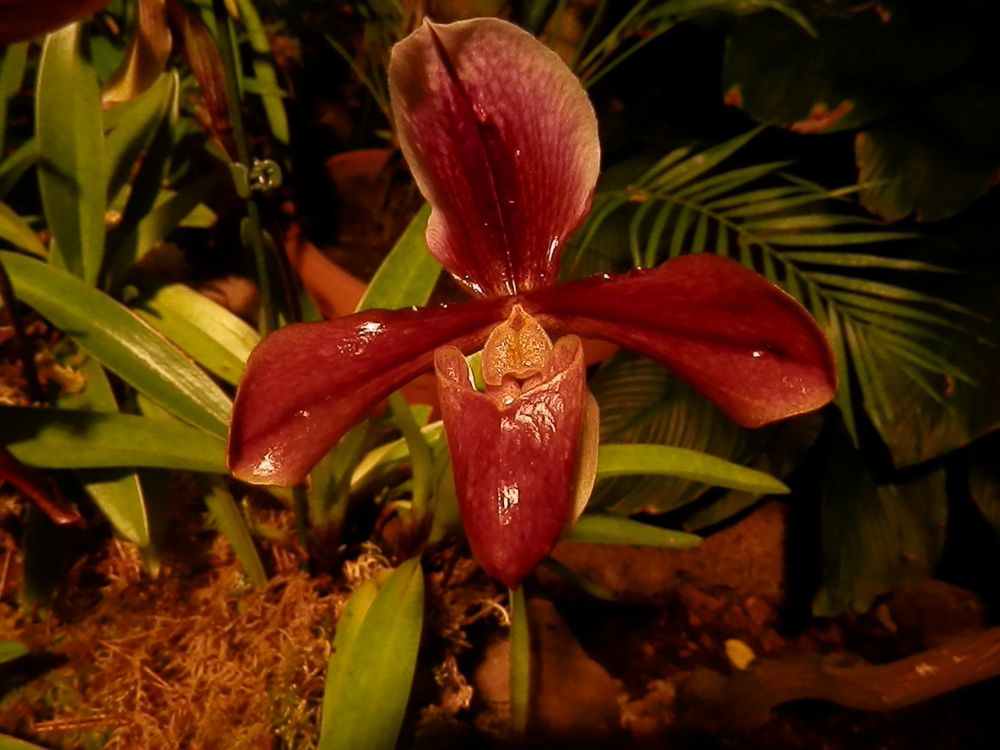 Photograph by Георгий Салюков