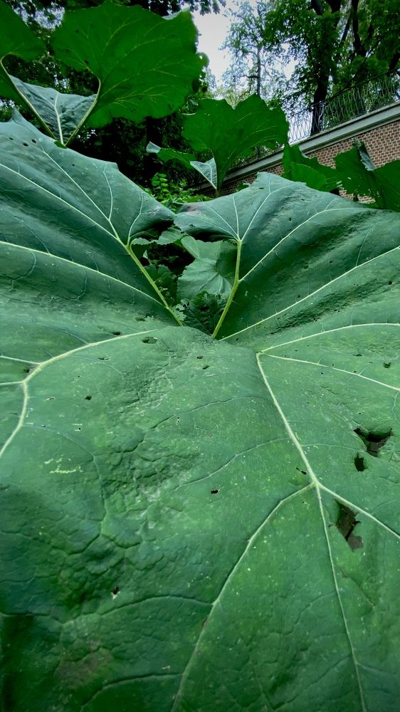 Photograph by Павел Панкратов