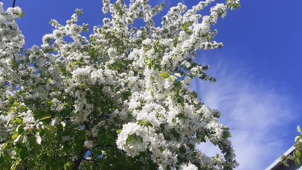 Photograph by Елена Лещева