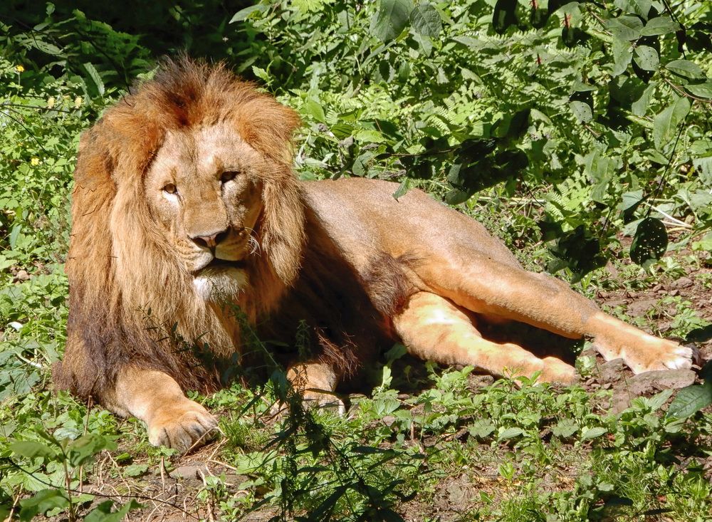 Photograph by София Гавриловна Вотякова