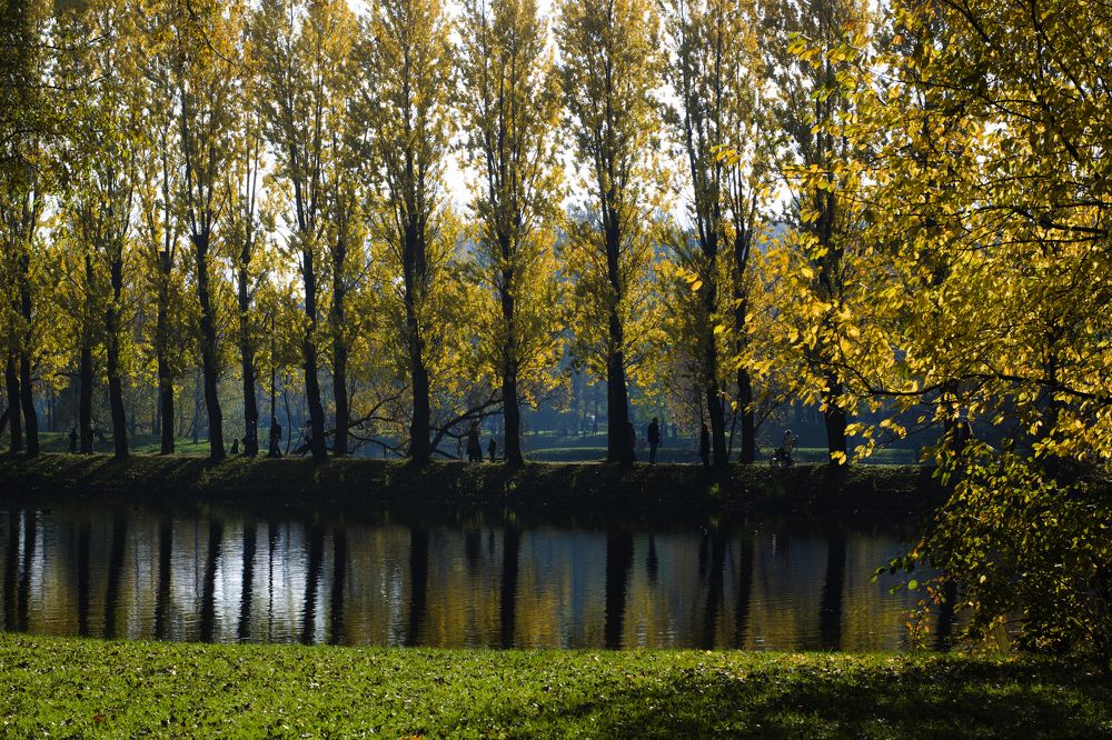 Фотография автора Iuliia Venediktova