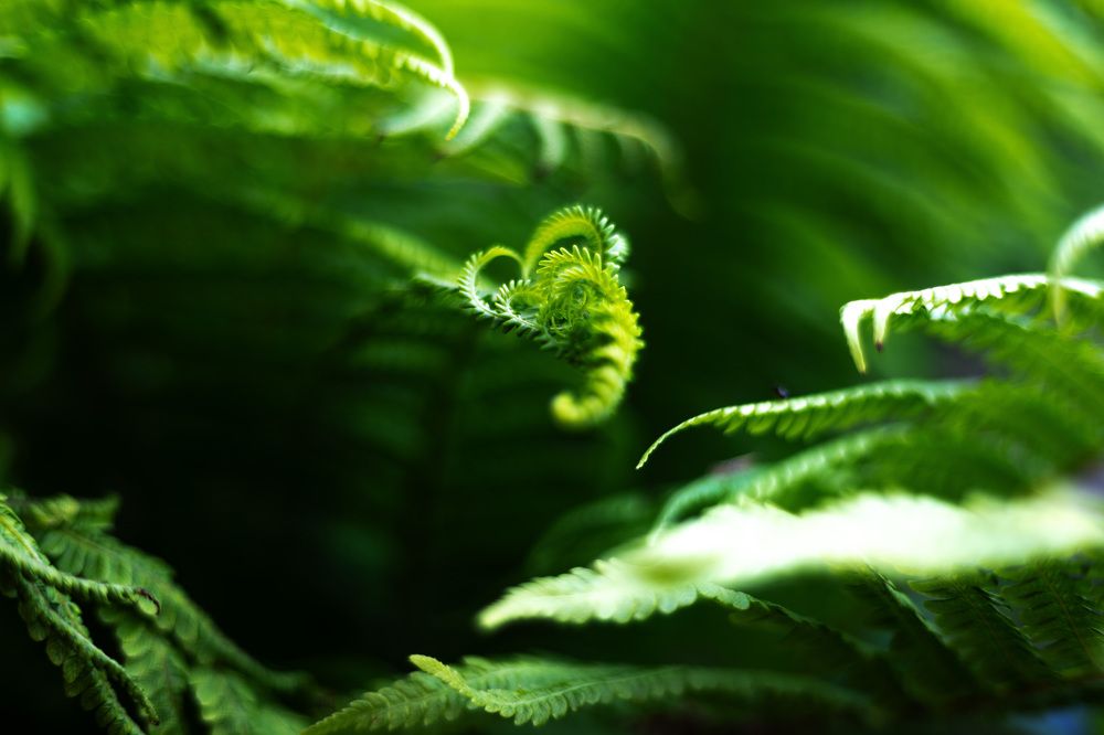 Photograph by Анастасия