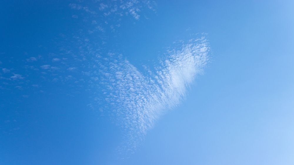 Photograph by Александр Мирошниченко