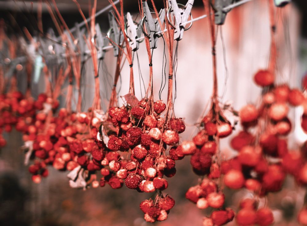 Photograph by Ольга Слотвинская