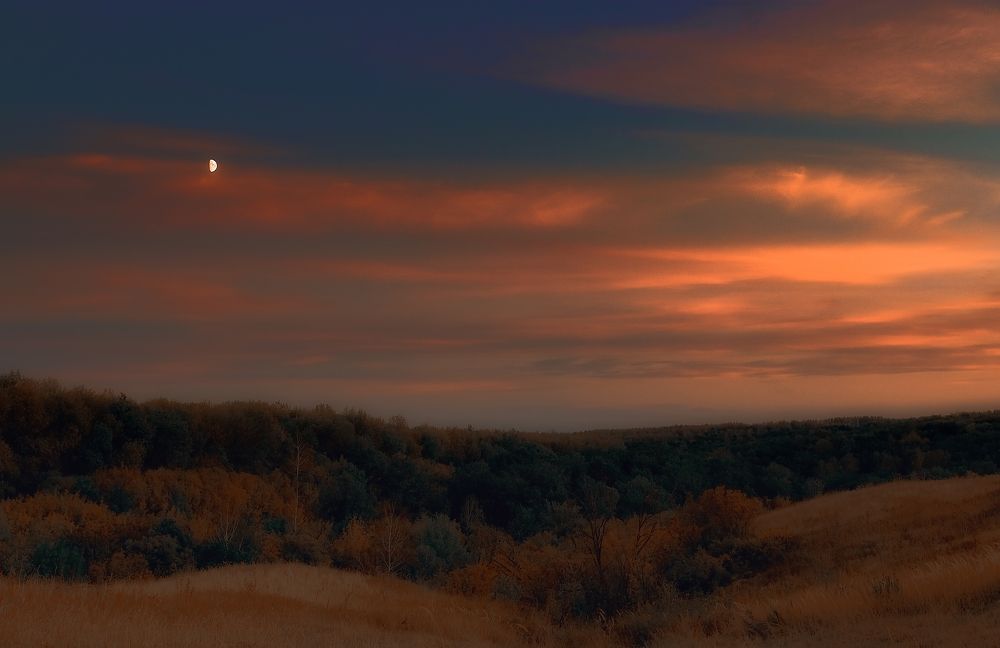 Photograph by Дмитрий Руденко