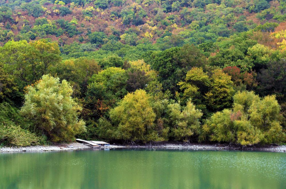 Photograph by Елена Титова