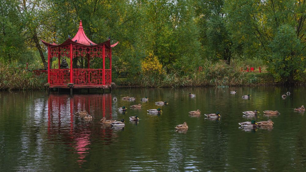 Фотография автора Ендовицкий Владимир