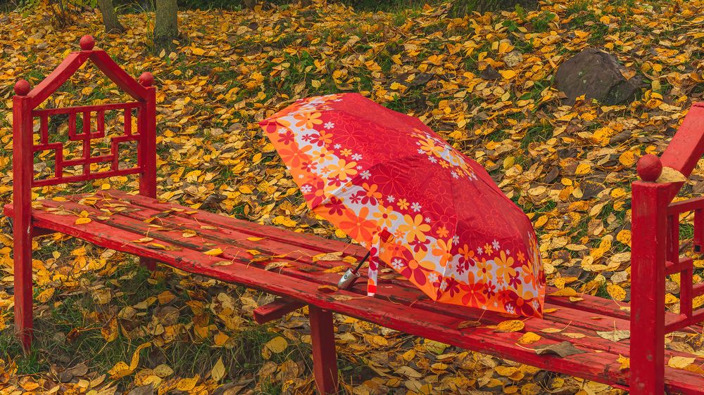 Фотография автора Ендовицкий Владимир