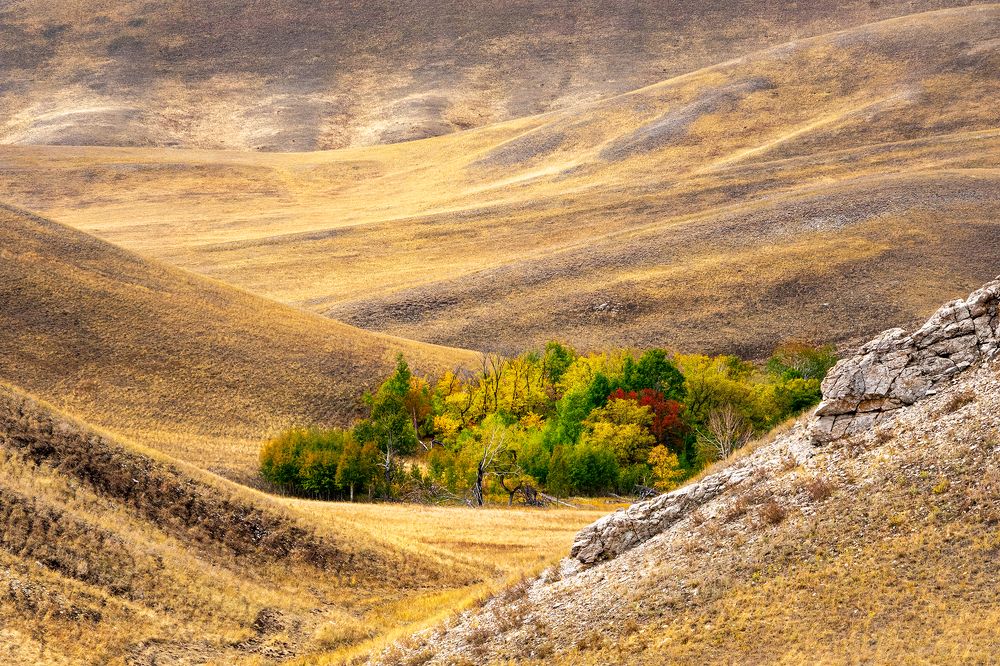 Photograph by Алёна Ивочкина