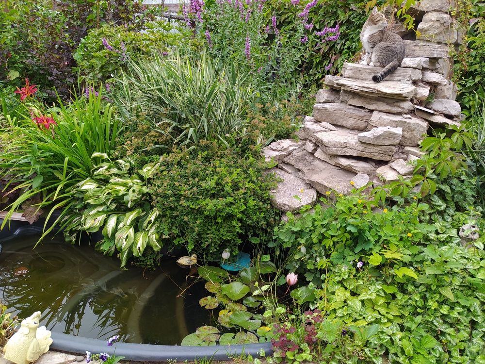 Photograph by Татьяна