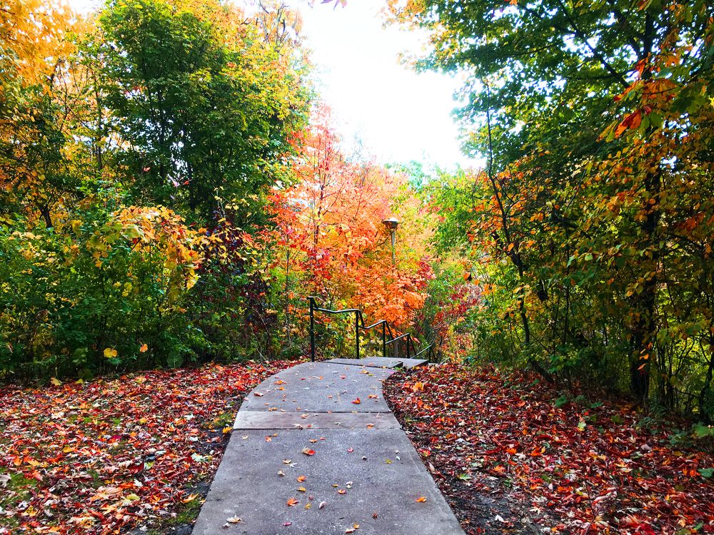 Photograph by Владимир Молостов