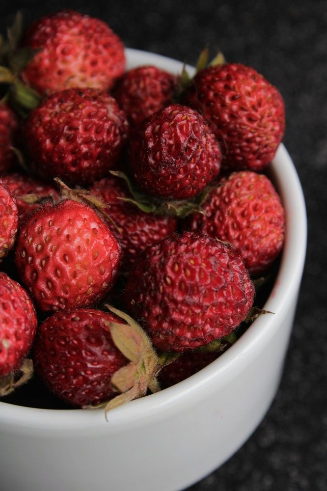 Photograph by Гульжан Шарипова