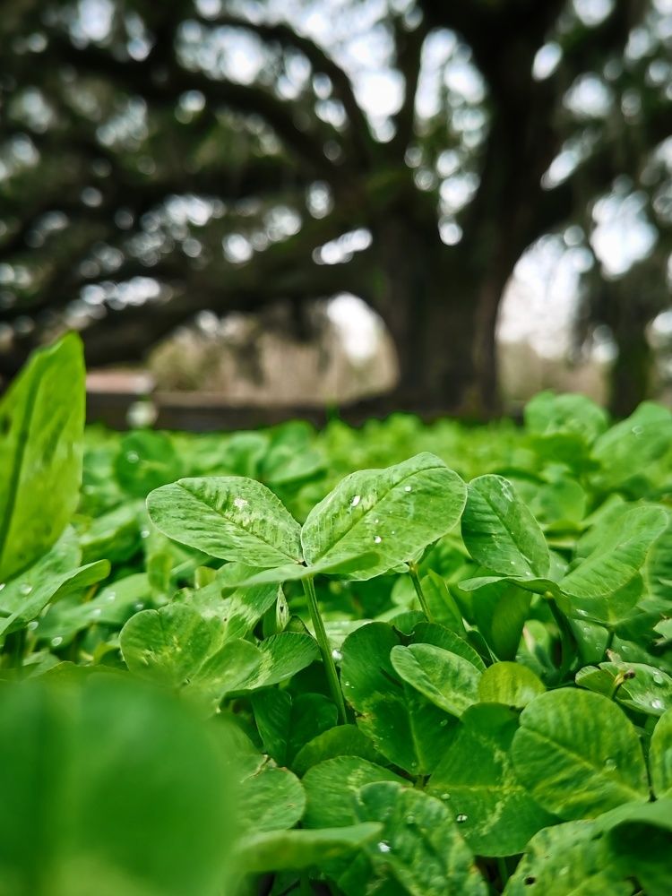Photograph by Виктория Федосеенко