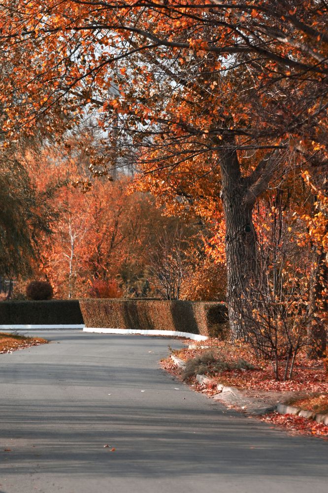 Photograph by Светлана Войта