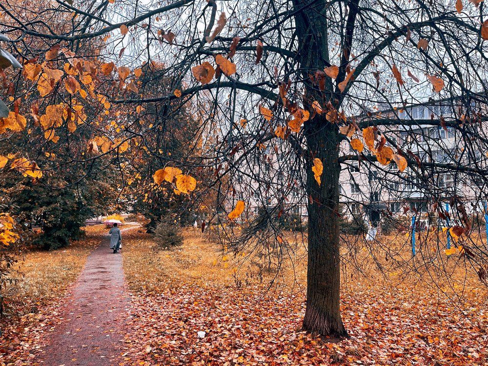 Photograph by Григорий Лыжин