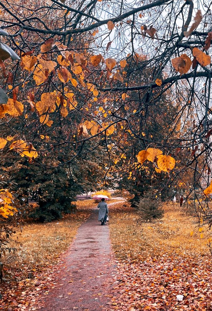 Photograph by Григорий Лыжин