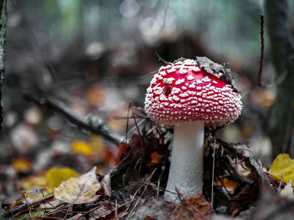 Photograph by Руслан Ибрагимов