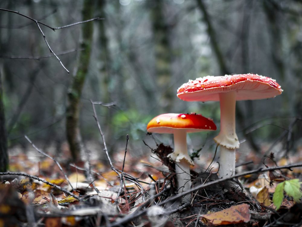 Photograph by Руслан Ибрагимов