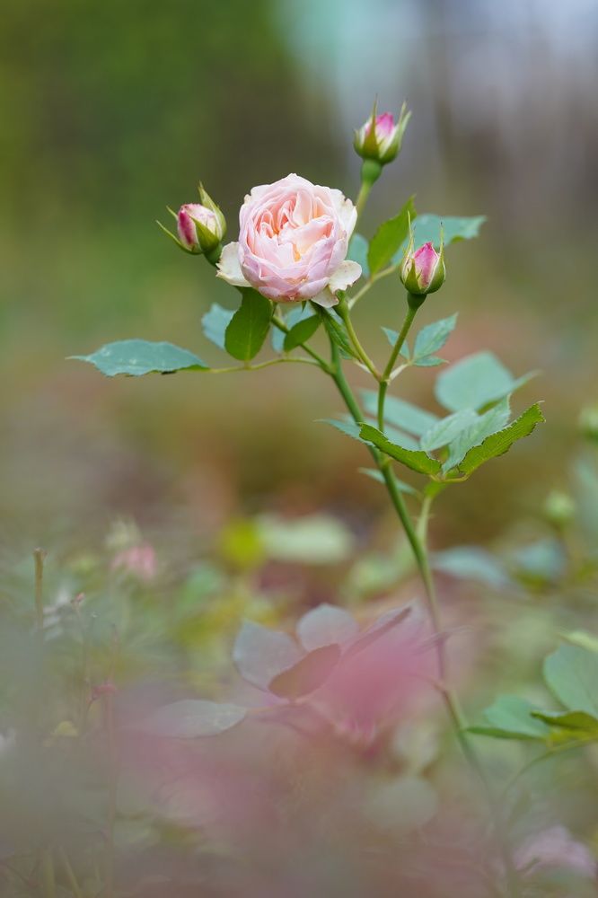 Photograph by Maria Zagagul