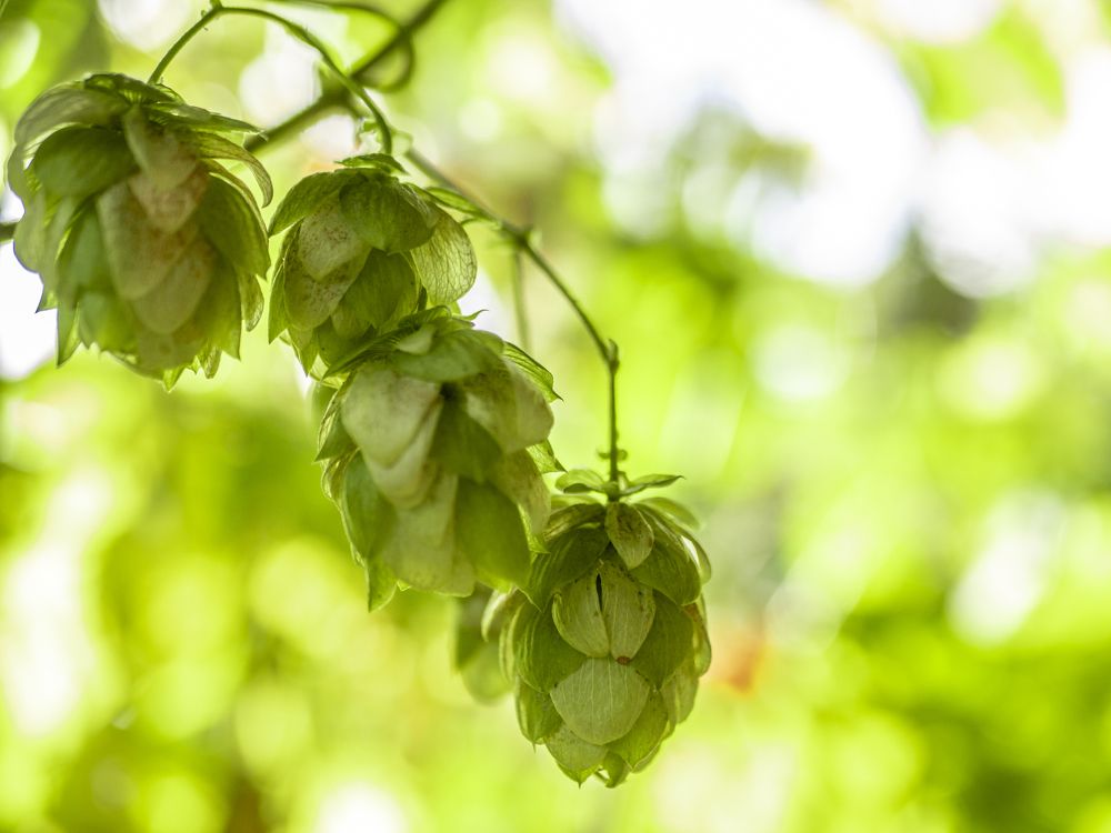 Photograph by Руслан Ибрагимов