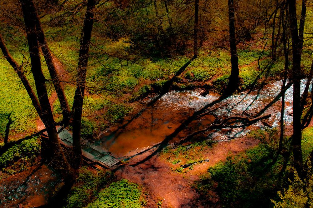 Photograph by Сергей Аникушин