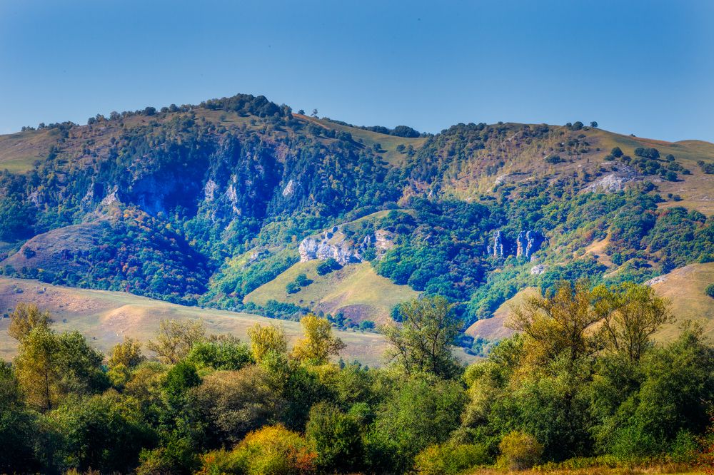 Photograph by Владимир Кваша