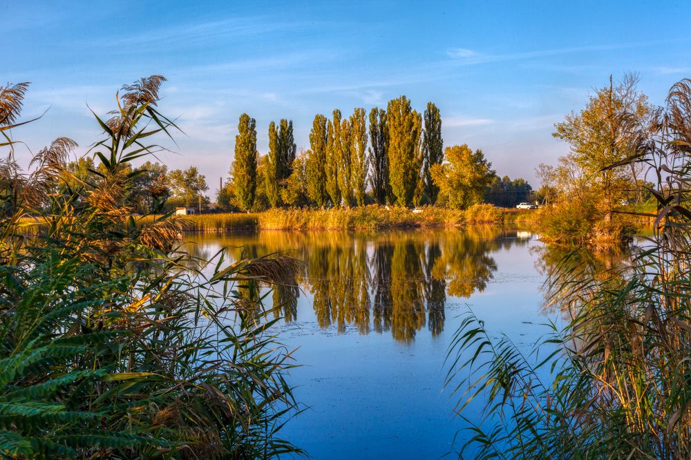 Photograph by Владимир Кваша