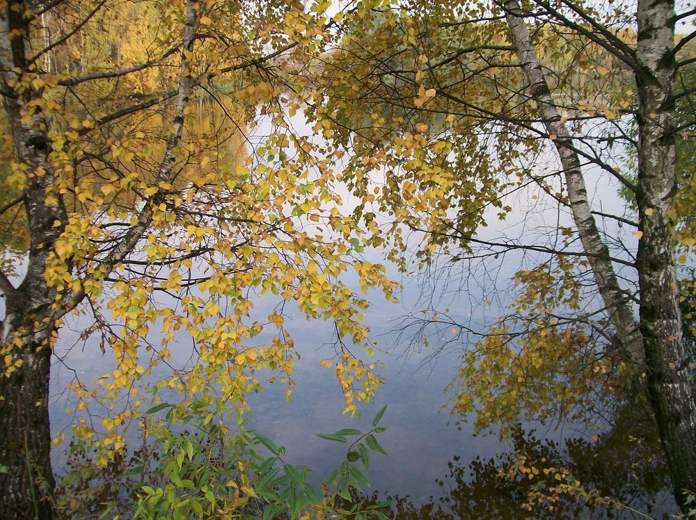 Photograph by Хвостов владимир Владимирович