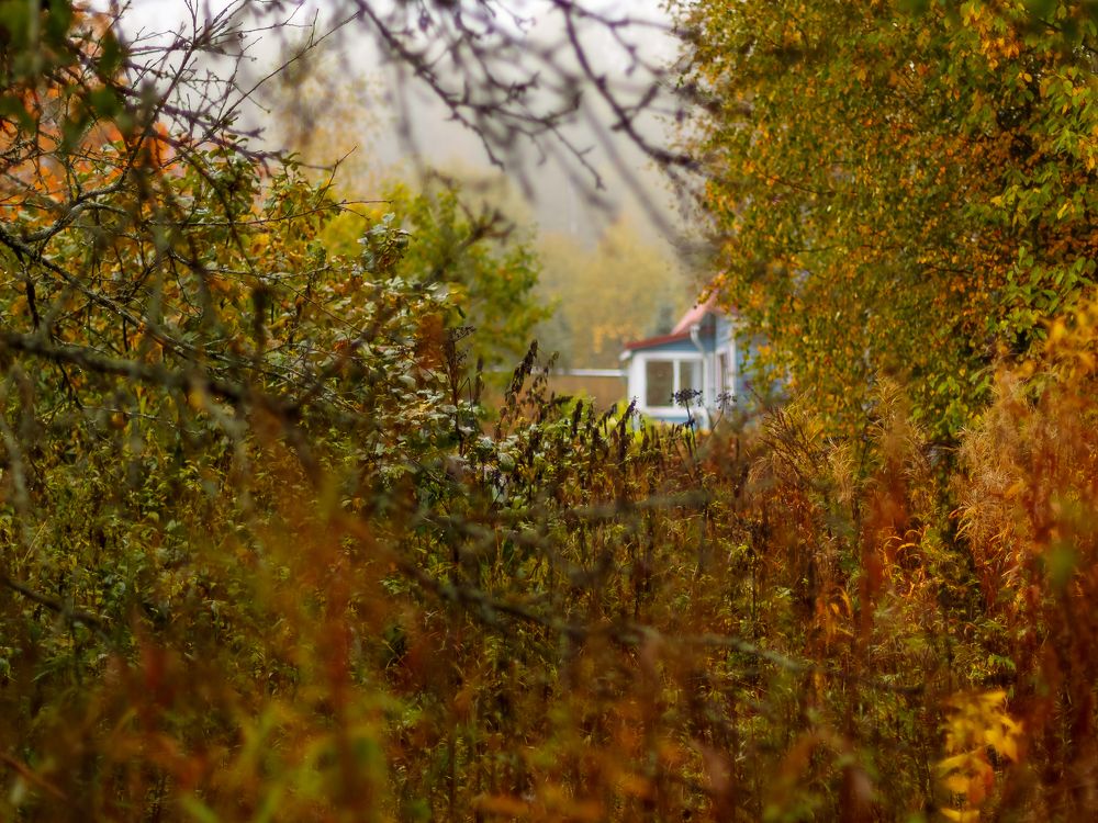 Photograph by Евгений