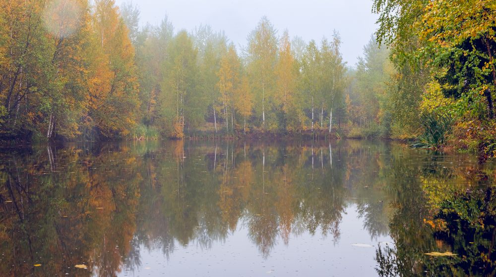 Photograph by Евгений