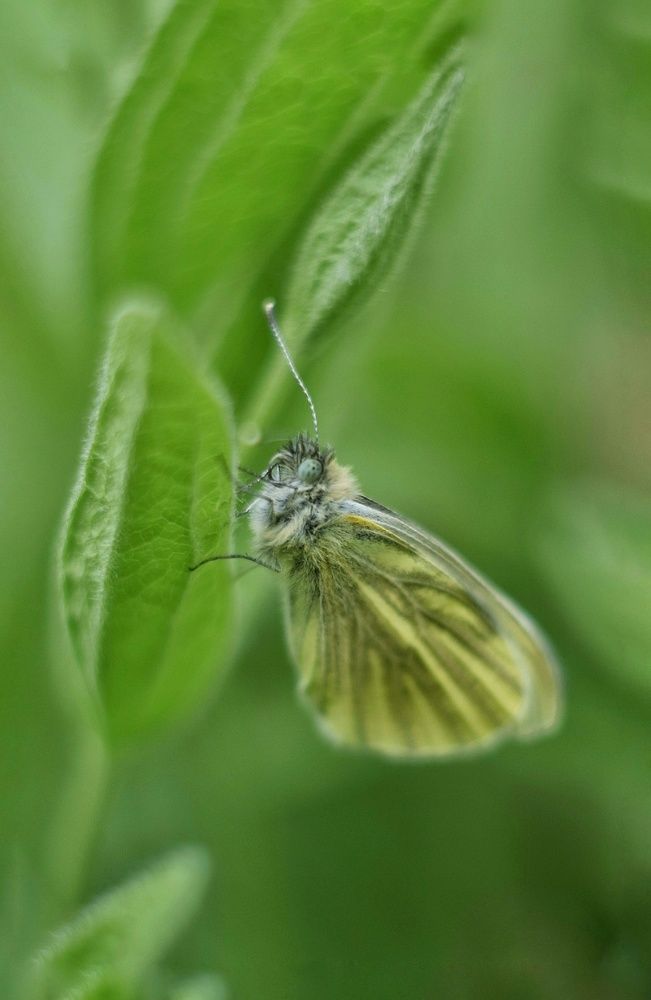 Photograph by Наталья Ткаченко