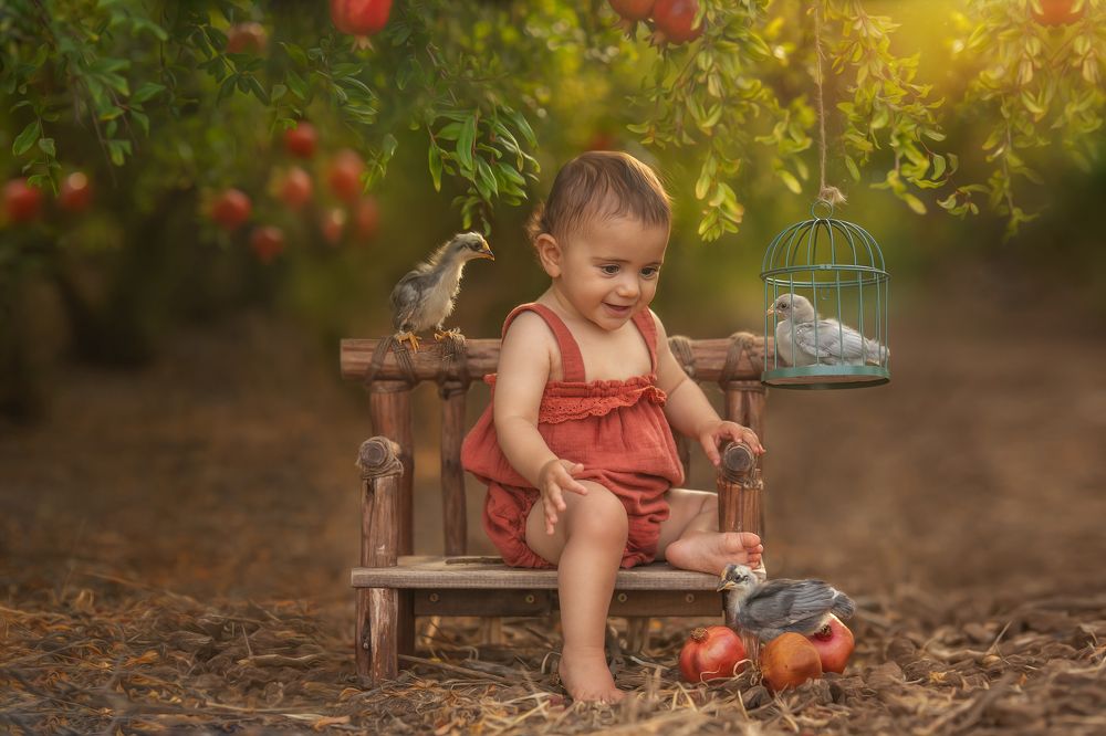 Фотография автора osher pashinsky