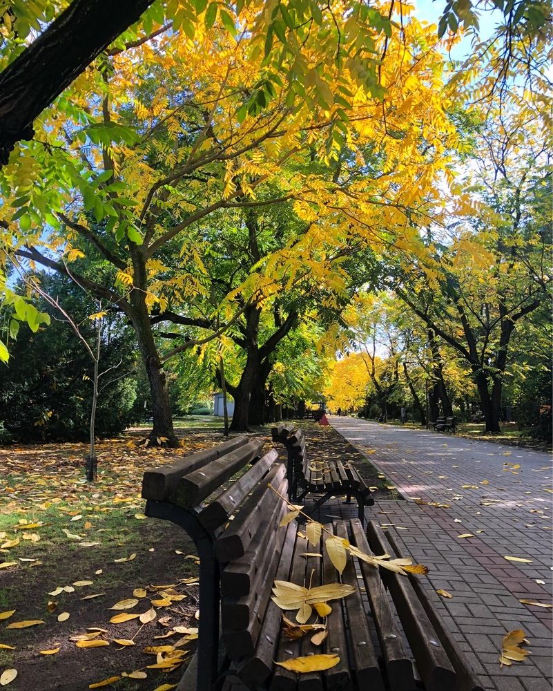 Photograph by Лариса Акинчиц