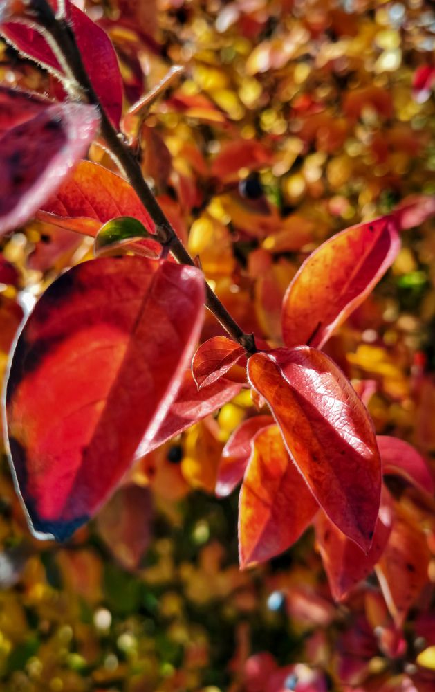 Photograph by Виктория Федосеенко