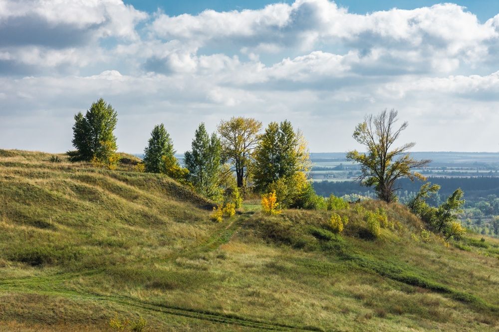 Photograph by Андрей Го