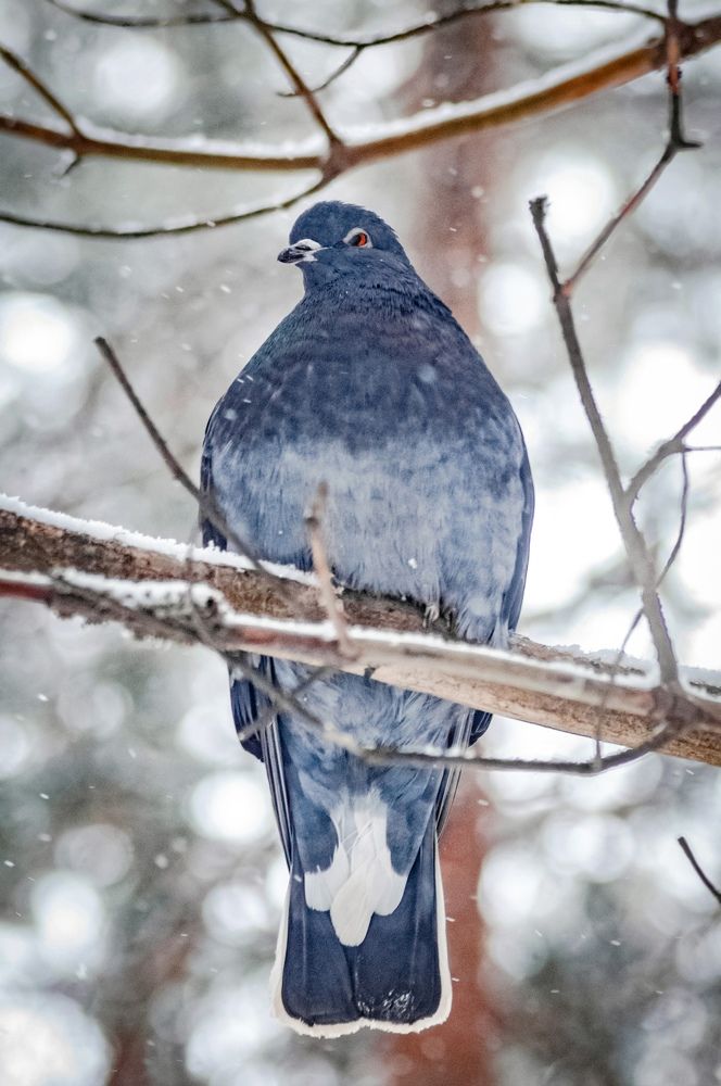 Photograph by Алексей Ильин